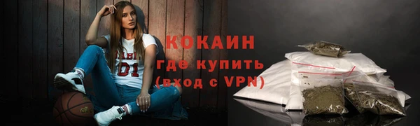 прущие грибы Елизово