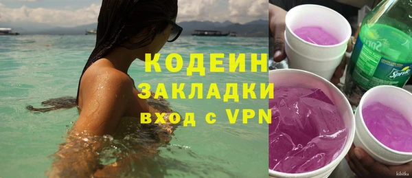прущие грибы Елизово