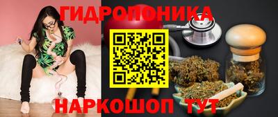 jwh Гусь-Хрустальный