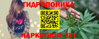 индика Гусиноозёрск