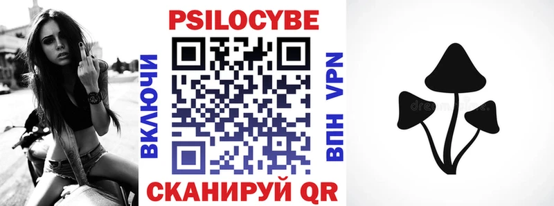 цена Зима Псилоцибиновые грибы прущие грибы