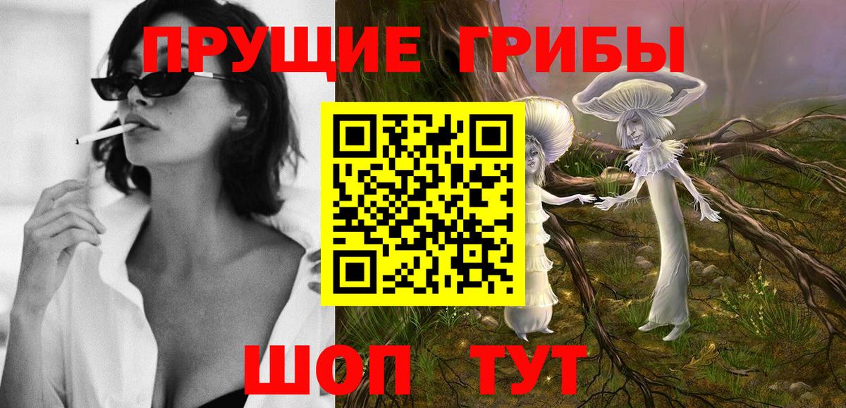 Псилоцибиновые грибы прущие грибы Зима