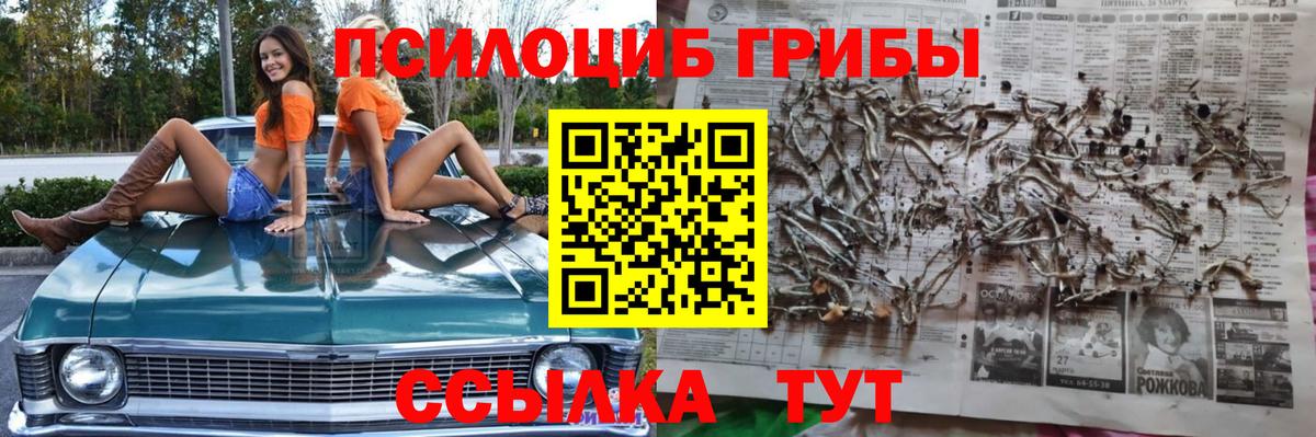 Галлюциногенные грибы MAGIC MUSHROOMS Зима